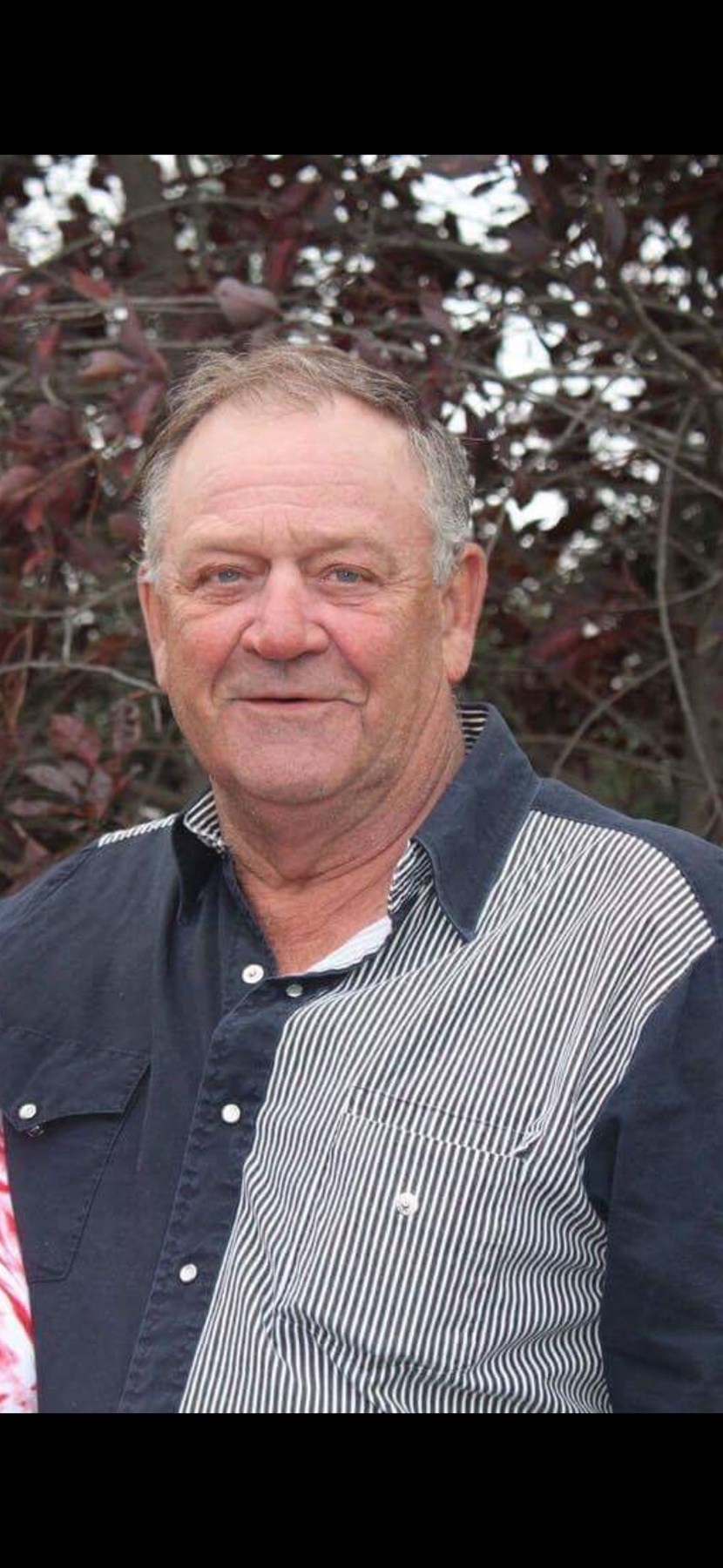 Obituario de David Freimark