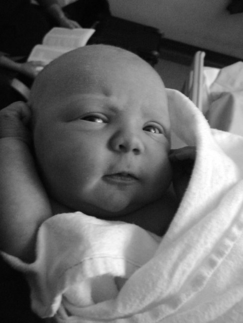 Obituary of Marshall James Knobben