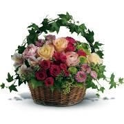 Obituary of Sylvia Anne Seibert White