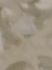 Casiano Last Name Casiano Last Name