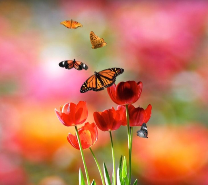 Obituary of Margaret Mary Weber