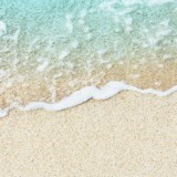 Obituary of Donna Mitchell