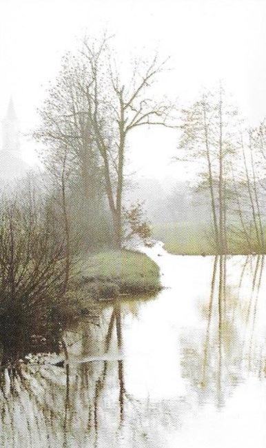 Obituary of Jose C. Ruiz