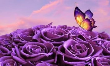 Obituary of Freddie Marie Mitchell
