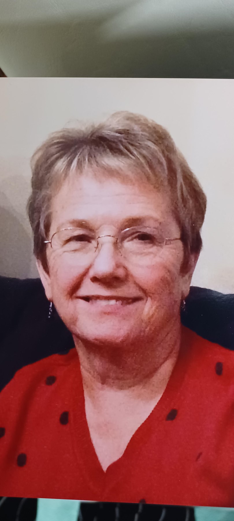 Obituario de Sandra L Lappas