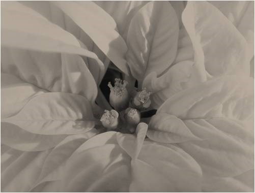 Obituary of Holiday Program 2016