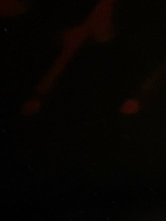 George Scott Obituary - Branchville, NJ