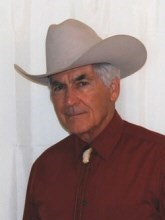 Obituary of Frank Steve Manitzas