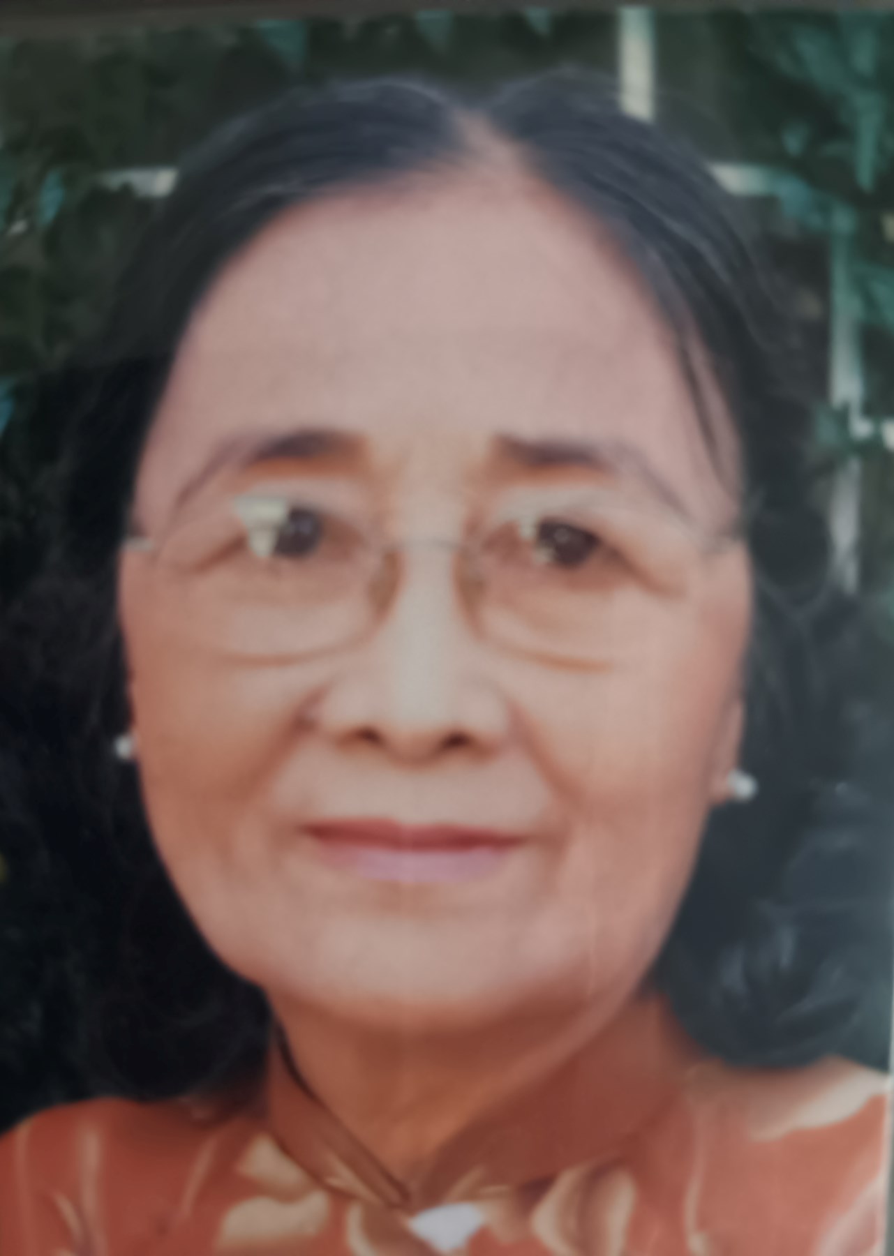 Obituary of Thi Song Thu Tran