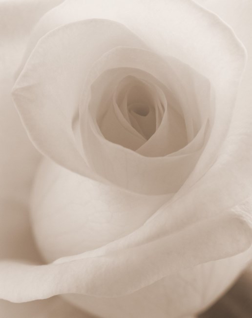 Obituary of Elizabeth Ann Williams