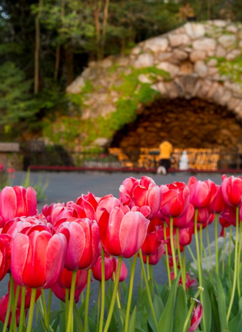 Obituary of James Richard Nelson