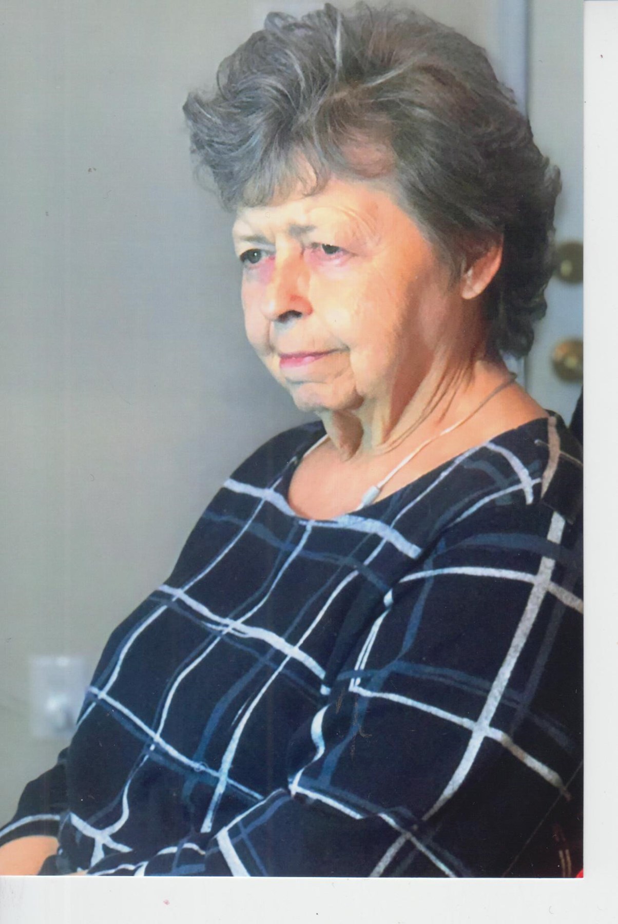 Obituary of Donna Joy Goins