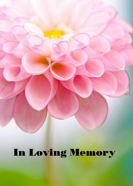 Avis de décès de Carol Sue Jenkins