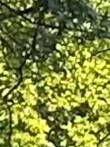 John Pyle Obituary - Ravenna, OH