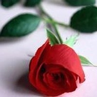 Obituary of Edna Lane Yarbrough