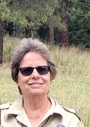 Obituary of Linda Sue McIntire