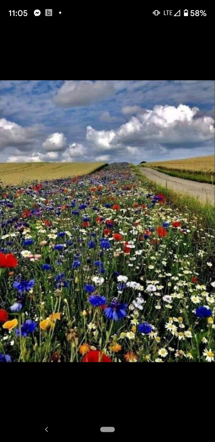 Obituary of Richard Francis Allen