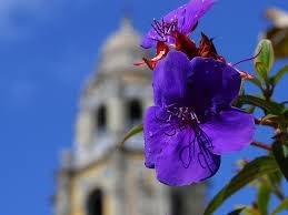 Obituary of Eva Flores