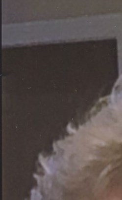 Brenda Diane Ward Obituary Thomasville NC Brenda Diane Ward Obituary Thomasville NC