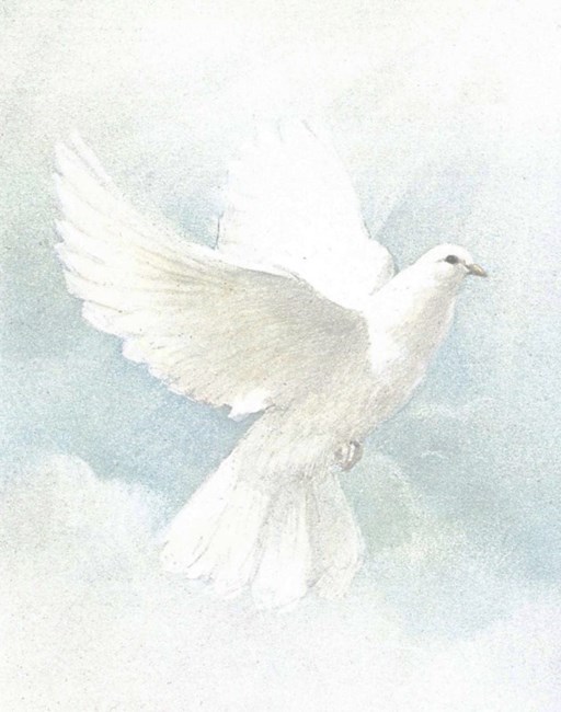 Obituary of Carmen Alicia Gonzales