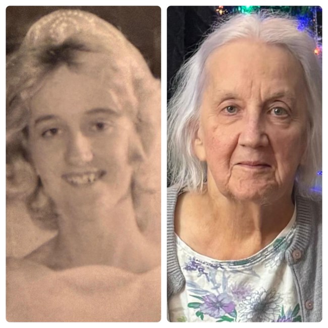 Obituary of Lynda Mee