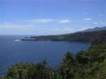 Obituary of Joseph Oliveira