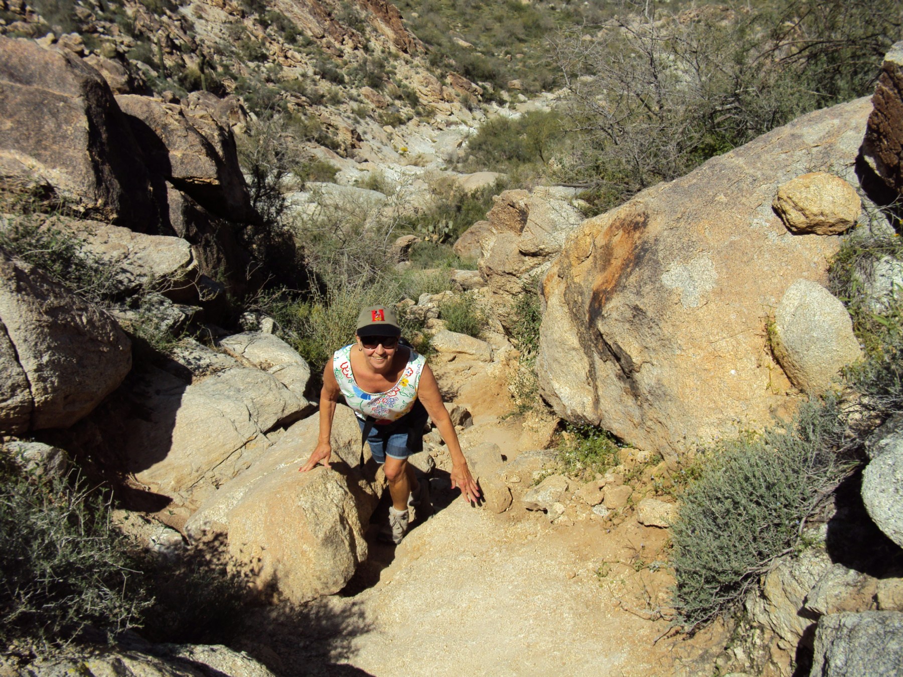 Martha Cash Obituary - Surprise, AZ