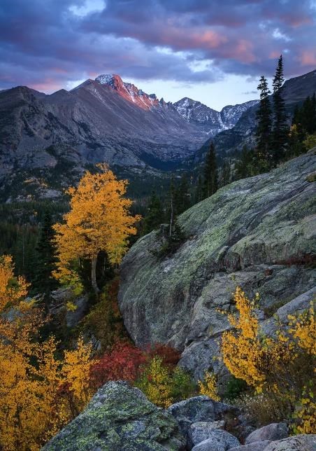 Obituary of Jason Henry Restad