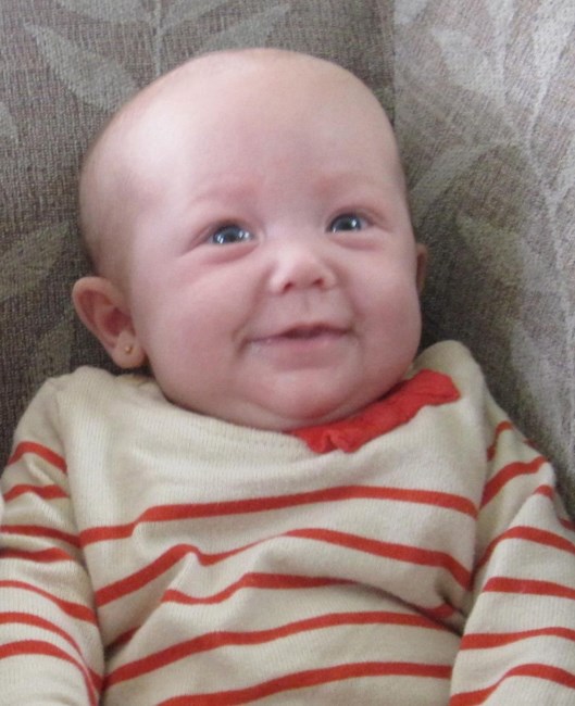 Obituary of Olivia Paige Miedema