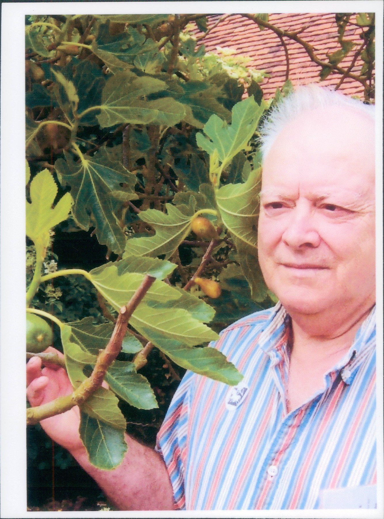 Obituary of Emery William Gavel