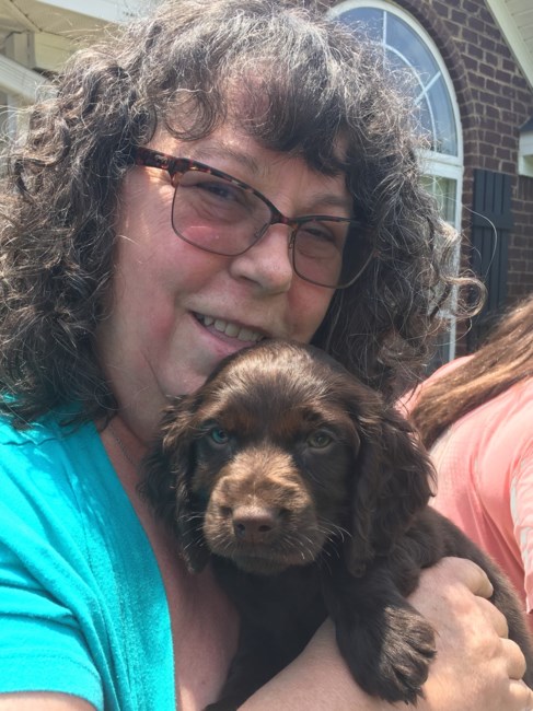 Obituary of Carol Denise Shearer