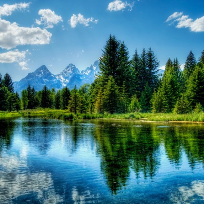 Obituary of Wilbur W. Shaffer