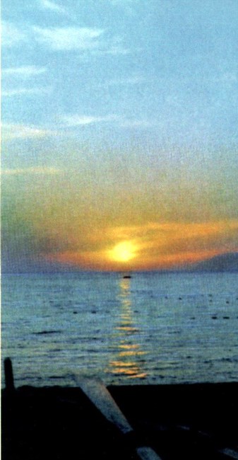 Obituary of Dorothy H. Kani