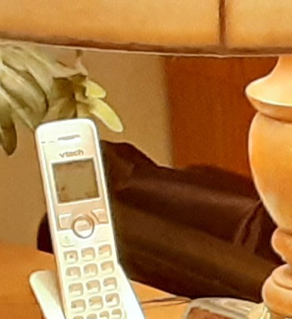 Sharon Fitzgerald Obituary Las Vegas NV sharon-fitzgerald-obituary-las-vegas-nv