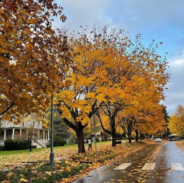 Obituary of Pamela Marie Erickson