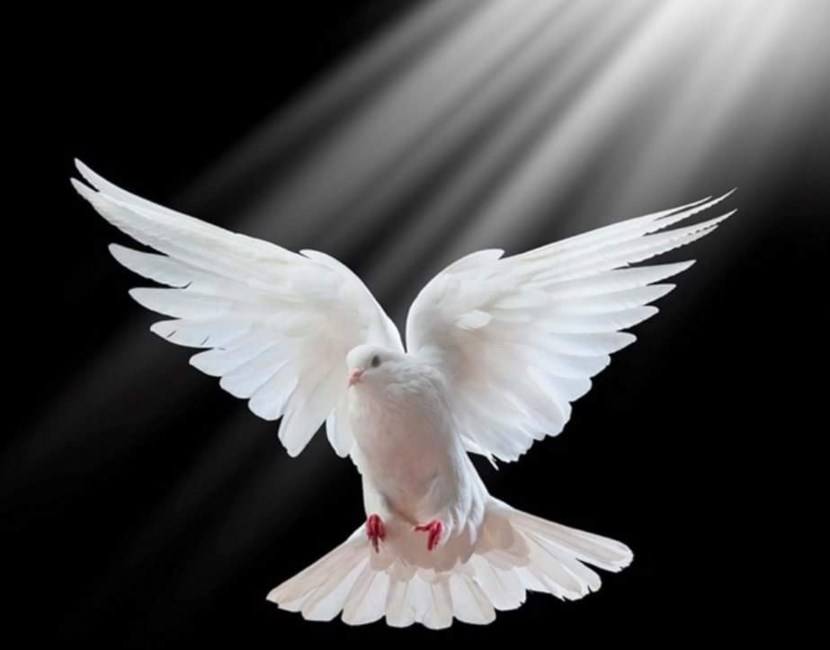 Obituary of Norma Lee Mendoza