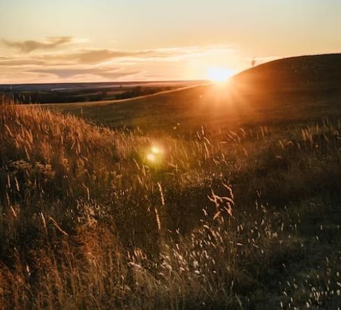 Obituary of Anthony Lee Hidy