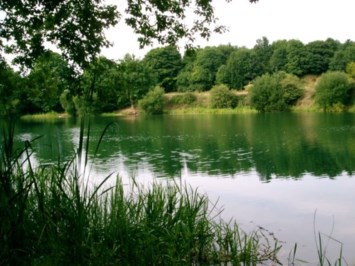 Obituary of James Howard Goodwin III