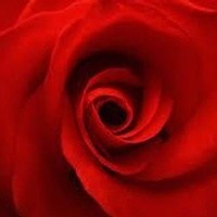 Obituary of Robert "Bob" Lee Puckett