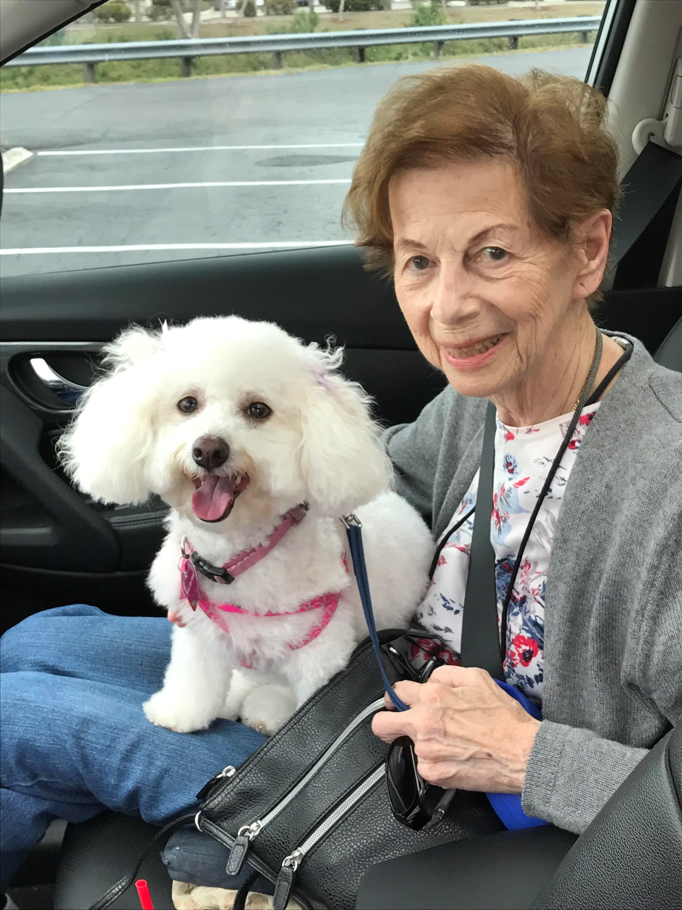 Obituary of Marie (Arlene) B.  Guay