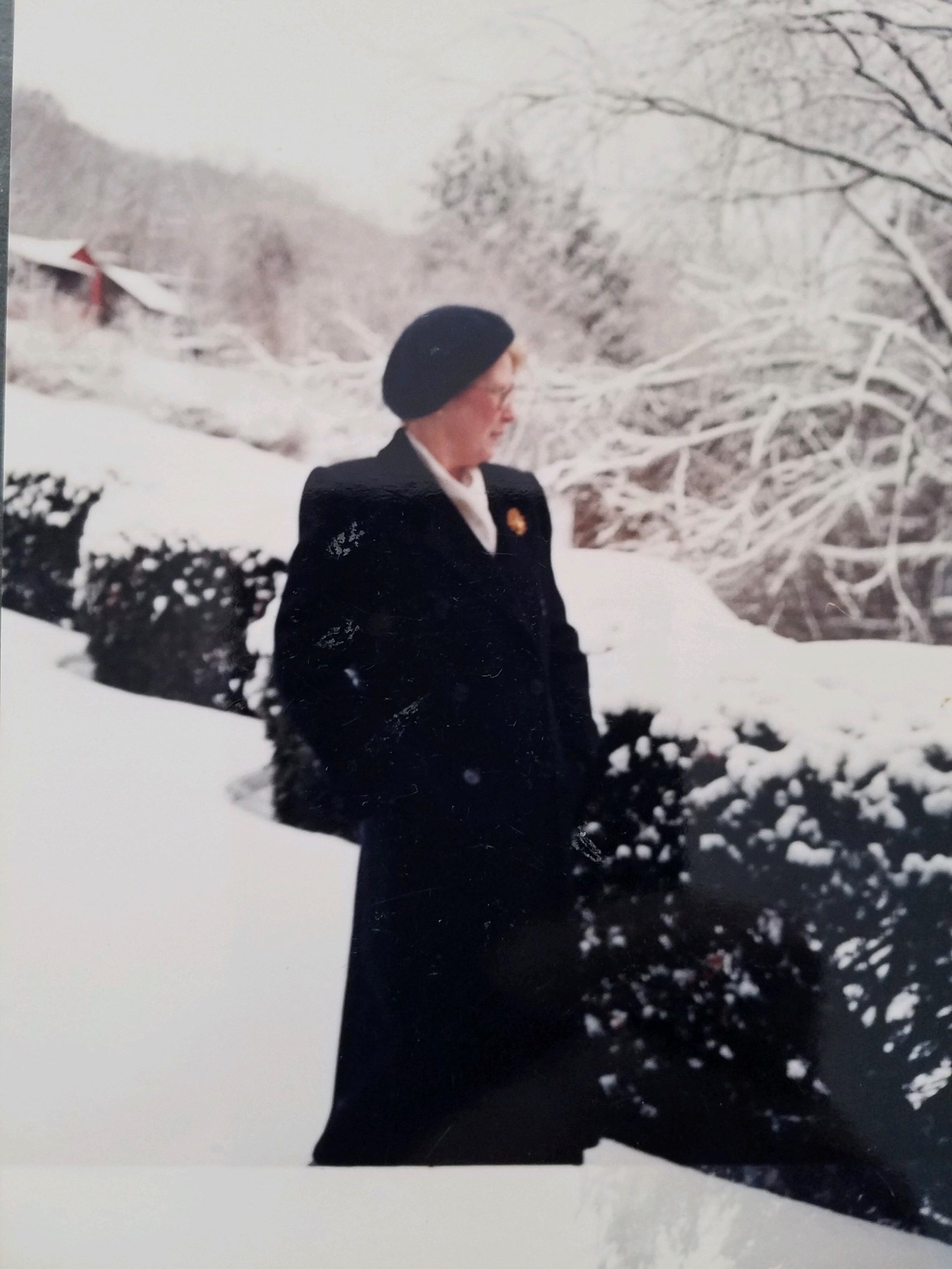 Mary Hanley Obituary Danbury Ct