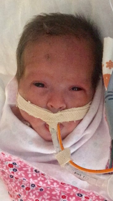 Obituary of Daleyza Melinda Chacon