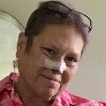 Obituary of Kimberly Fox