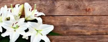 Obituary of Mark Michael Garcia