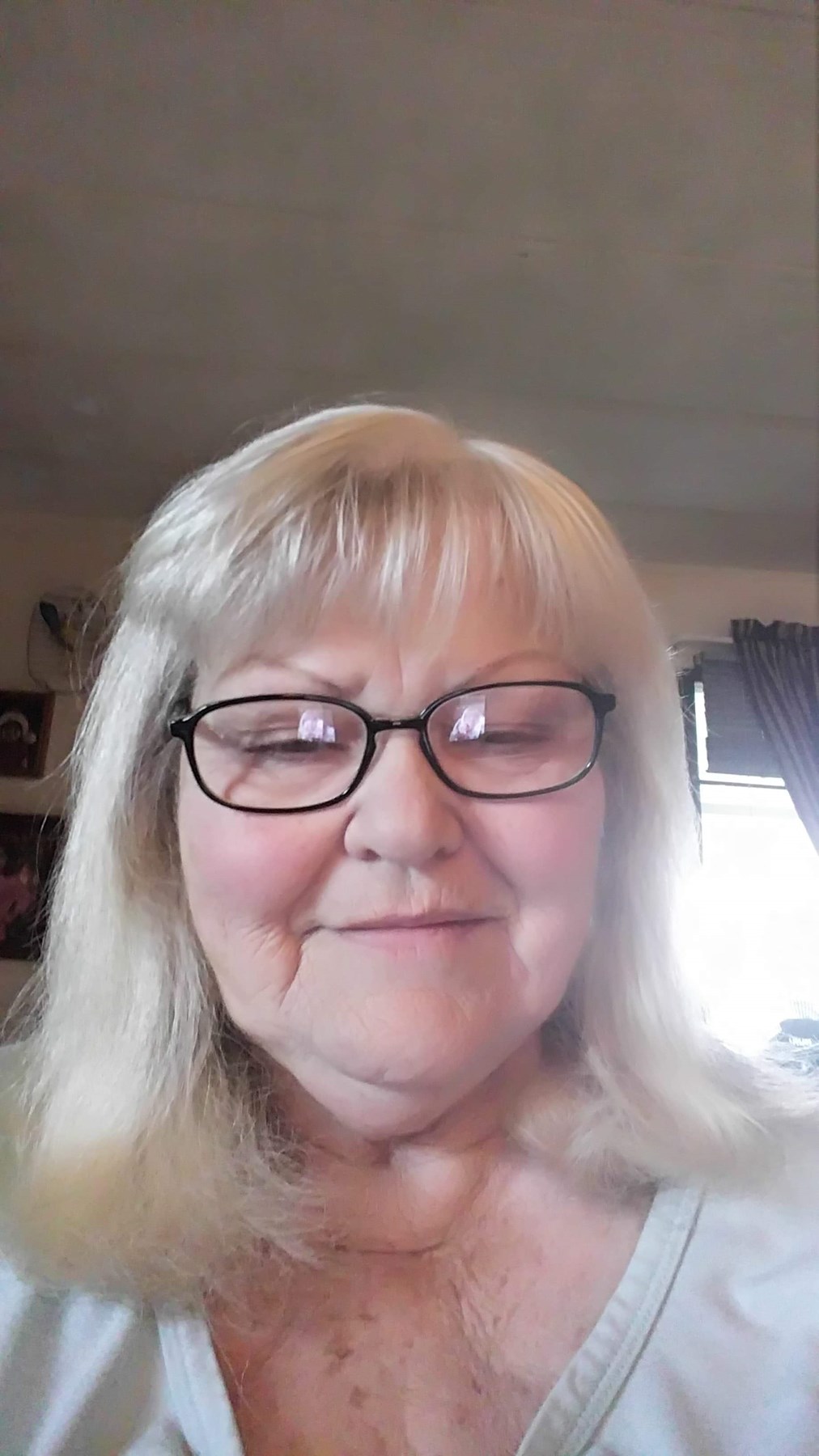 Obituary of Dianne M. Amato