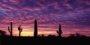 Obituary of Michael Patrick Fleck