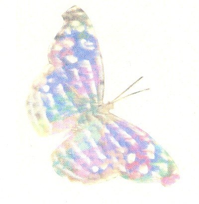 Obituary of Peggy Hines