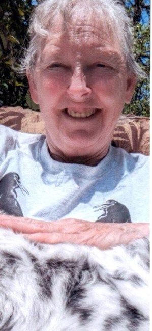 Obituary of Lynn Marie Cummings