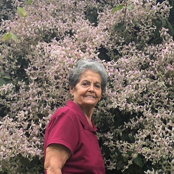 Obituary of Elsa Hilda Colón Vázquez