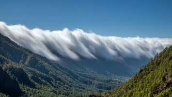 Obituary of Susan Kay Peterson